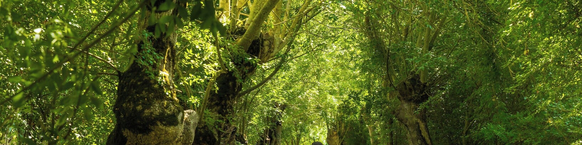 Best way to enjoy the Marais Poitevin is definitely on a boat. Go for a tour through the labyrinthine marsh rivers. So quiet and relaxing!
#LifeAtExpedia