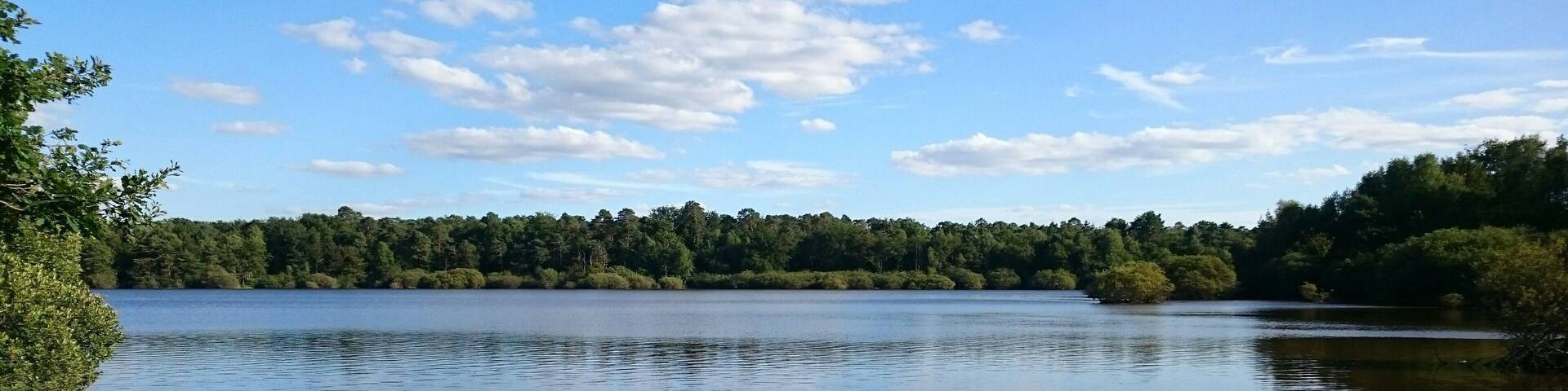 Etang du gué l'évêque