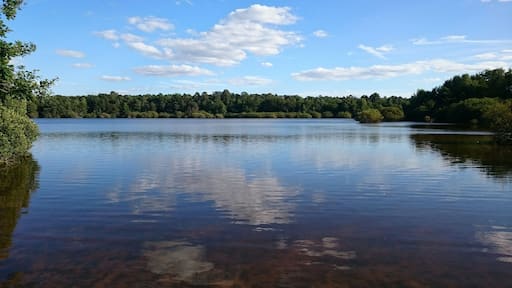 Etang du gué l'évêque