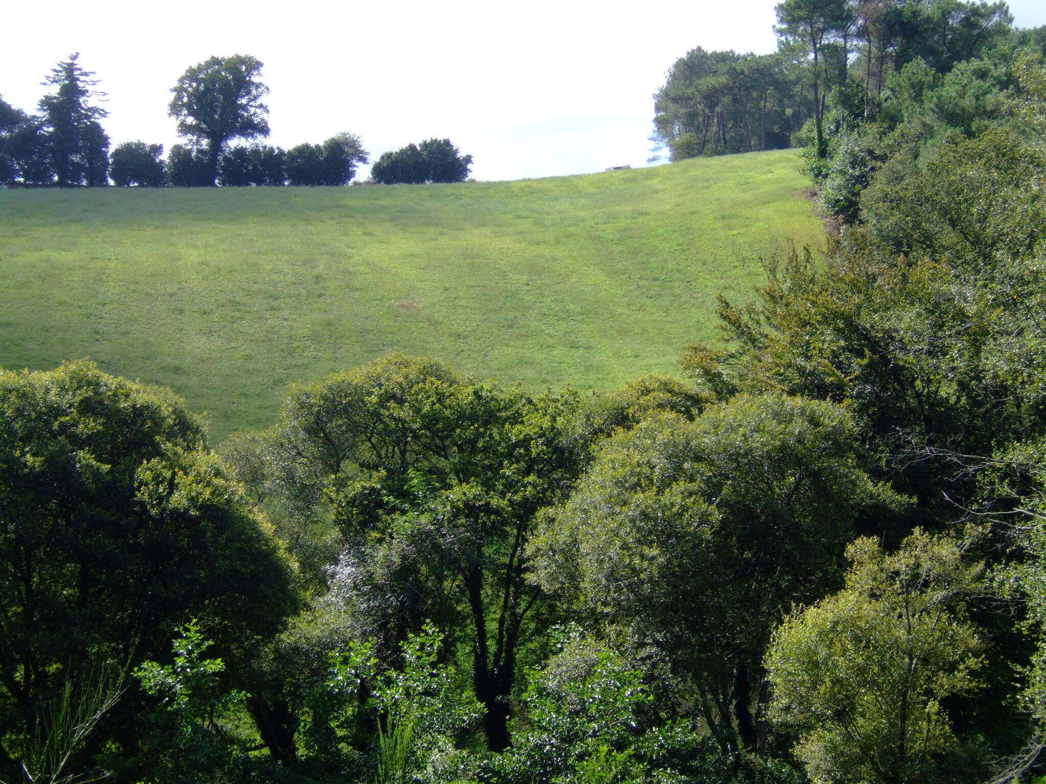 West accross the hills