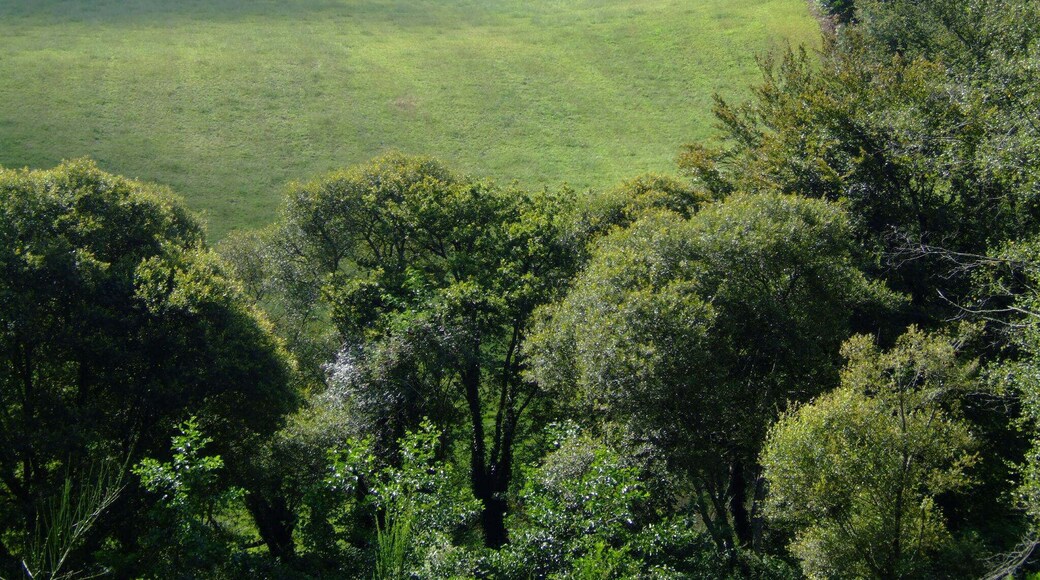 West accross the hills