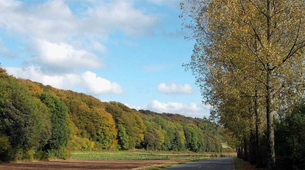 Route d'Ecottes à Licques