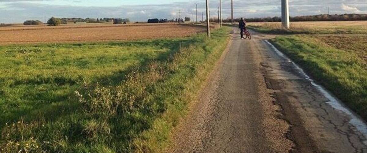 A rural road with a cyclist, surrounded by open fields and utility poles.