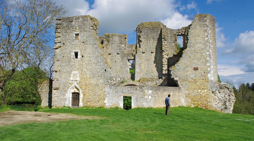 Château de Levroux (Indre). Au 1er siècle (?), Un oppidum Gaulois est construit sur la colline d'un village nommé : Gabattum. Vers 1010 (?), un château primitif remplace l'oppidum. Il est l'oeuvre de Eude de Déols. En 1188, le château est attaqué et pris par Philippe Auguste En 1189, par le traité d'Azay le Rideau, le territoire et le château appartiennent à Richard Coeur de Lion.
En 1199, le Berry rejoint le domaine Royal de France. Le château change de propriétaire.
Vers 1229, les seigneurs de Levroux consolident le château et améliore ses défenses. En 1413, Louis du Peschin, seigneur de Levroux, décrit au Roi Charles VI l'état du château dans un texte. Il semble que les défenses nécessitent de gros travaux et que l'entretien des courtines soit minimal. En 1416, Jacquette du Peschin épouse Bertrand V de La Tour d'Auvergne. Il devient le nouveau seigneur de Levroux et va devenir le commanditaire du château.
"Au deffus de la Ville eft un fort Château de grande étendue , au milieu duquel fe voit une Tour de prodigieufe groffeur , accompagnée de deux autres , entre lefquelles cit: aflis le Portail du Château. De la Châtelenie de Levroux dépendent les Parroifes de S.Phalier , Rouvre les bois , Sainte Colombe, Baudre & plufieurs Fiefs. Il y a dans la Ville un Hôpital & une Maladerie. Le Château de Levroux fut afliegé & pris par le Roy Philippe Augufte, l'an 1188. pendant les Guerres de France & d'Angleterre. Durant le Siège il arriva une chofe affez remarquable, & que les Hitoriens du temps n’ont pas oubliée. ll y avoit un torrent devant le Château , où il y avoit ordinairement grande abondance d'eau, qui pour lors étoit à fec à caufe des excessives chaleurs , de maniere que l'Armée étoit grandement incommodée , faute d'eau , pour faire boire les Soldats , & pour abreuver les chevaux ; alors contre l'attente de tout le monde , il furvint une telle abondance d'eau , que les chevaux en avoient jufques aux fangles , & par ce moyen les Afliegeans eurent de: quoy appaifer leur foif & abreuver leurs chevaux, ce qui fut reputé pour miracle, Le Roy s’étant rendu Maître de la Place , en fit don à fon Coufin fils du Comte Thibaud de Champagne." (Histoire de Berry- Gaspard Thaumas de la Thaumassière - 1689)