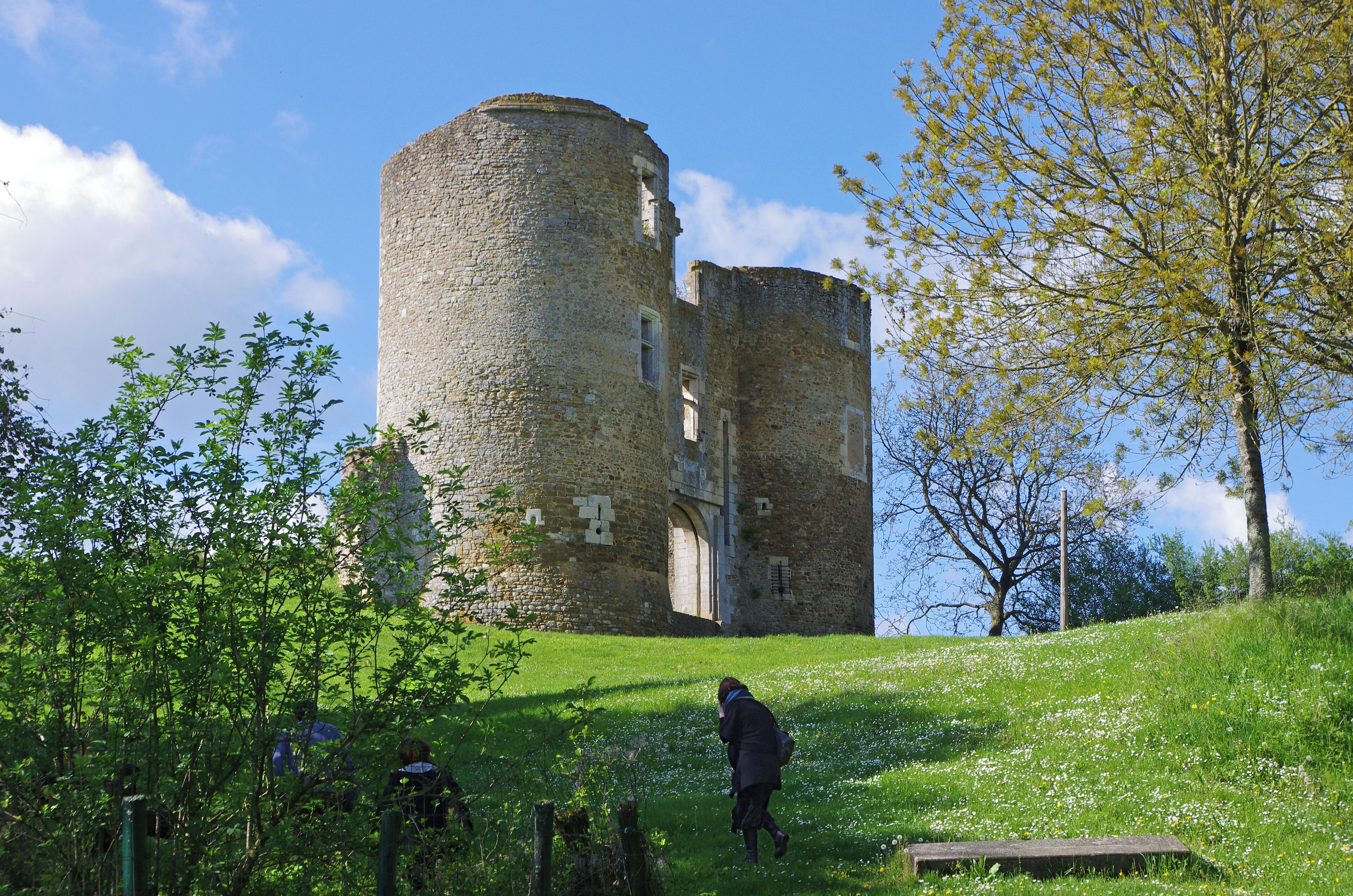 Au deffus de la Ville eft un fort Château de grande étendue , au milieu duquel fe voit une Tour de prodigieufe groffeur , accompagnée de deux autres , entre lefquelles cit: aﬂis le Portail du Château. De la Châtelenie de Levroux dépendent les Parroifes de S.Phalier , Rouvre les bois , Sainte Colombe, Baudre & plufieurs Fiefs. Il y a dans la Ville un Hôpital & une Maladerie. Le Château de Levroux fut aﬂiegé & pris par le Roy Philippe Augufte, l'an 1188. pendant les Guerres de France & d'Angleterre. Durant le Siège il arriva une chofe affez remarquable, & que les Hitoriens du temps n’ont pas oubliée. ll y avoit un torrent devant le Château , où il y avoit ordinairement grande abondance d'eau, qui pour lors étoit à fec à caufe des excessives chaleurs , de maniere que l'Armée étoit grandement incommodée , faute d'eau , pour faire boire les Soldats , & pour abreuver les chevaux ; alors contre l'attente de tout le monde , il furvint une telle abondance d'eau , que les chevaux en avoient jufques aux fangles , & par ce moyen les Aﬂiegeans eurent de: quoy appaifer leur foif & abreuver leurs chevaux, ce qui fut reputé pour miracle, Le Roy s’étant rendu Maître de la Place , en ﬁt don à fon Couﬁn ﬁls du Comte Thibaud de Champagne. (Histoire de Berry- Gaspard Thaumas de la Thaumassière - 1689)