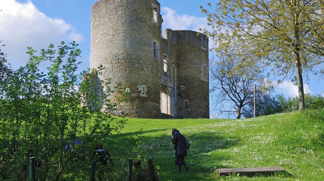 Au deffus de la Ville eft un fort Château de grande étendue , au milieu duquel fe voit une Tour de prodigieufe groffeur , accompagnée de deux autres , entre lefquelles cit: aflis le Portail du Château. De la Châtelenie de Levroux dépendent les Parroifes de S.Phalier , Rouvre les bois , Sainte Colombe, Baudre & plufieurs Fiefs. Il y a dans la Ville un Hôpital & une Maladerie. Le Château de Levroux fut afliegé & pris par le Roy Philippe Augufte, l'an 1188. pendant les Guerres de France & d'Angleterre. Durant le Siège il arriva une chofe affez remarquable, & que les Hitoriens du temps n’ont pas oubliée. ll y avoit un torrent devant le Château , où il y avoit ordinairement grande abondance d'eau, qui pour lors étoit à fec à caufe des excessives chaleurs , de maniere que l'Armée étoit grandement incommodée , faute d'eau , pour faire boire les Soldats , & pour abreuver les chevaux ; alors contre l'attente de tout le monde , il furvint une telle abondance d'eau , que les chevaux en avoient jufques aux fangles , & par ce moyen les Afliegeans eurent de: quoy appaifer leur foif & abreuver leurs chevaux, ce qui fut reputé pour miracle, Le Roy s’étant rendu Maître de la Place , en fit don à fon Coufin fils du Comte Thibaud de Champagne. (Histoire de Berry- Gaspard Thaumas de la Thaumassière - 1689)