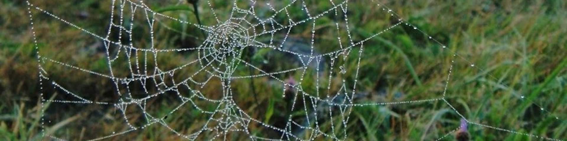 Early morning view of the Chateau at Domaine De Boisbuchet. #roadtrip