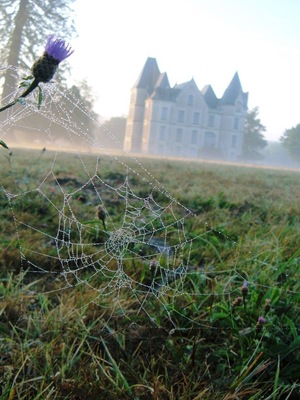 Early morning view of the Chateau at Domaine De Boisbuchet. #roadtrip