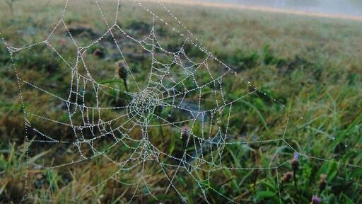 Early morning view of the Chateau at Domaine De Boisbuchet. #roadtrip