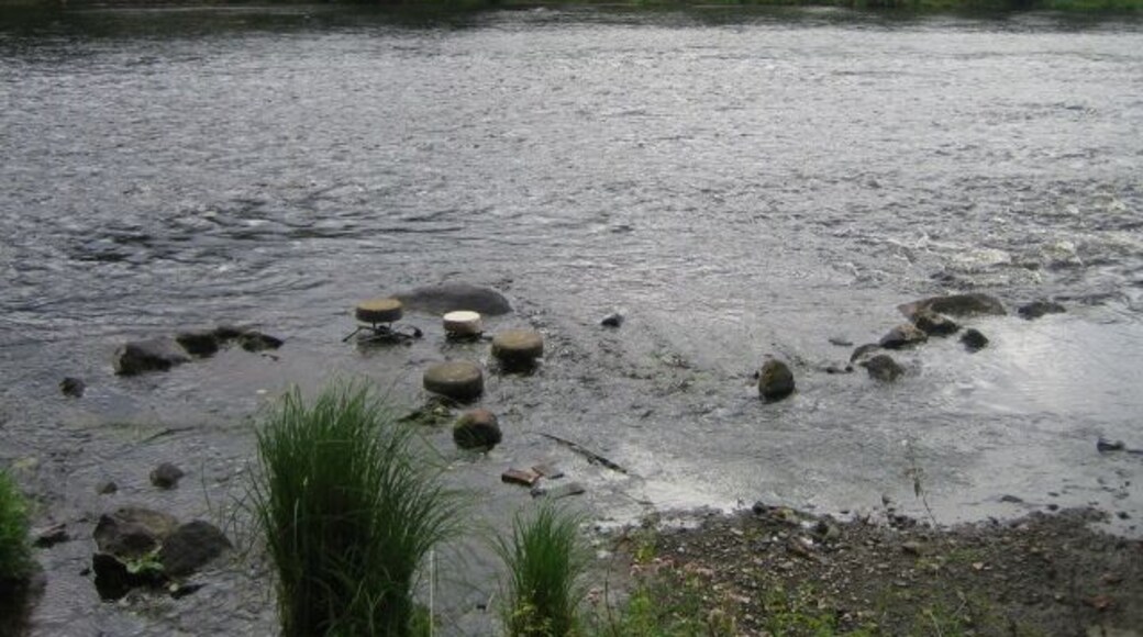 The pod -like discs that you in the river Vienne that runs along the property of Domaine de Boisbuchet are part of the many projects held in this facility. They are meant to be like stepping stones, probably to get a better angle when fishing.