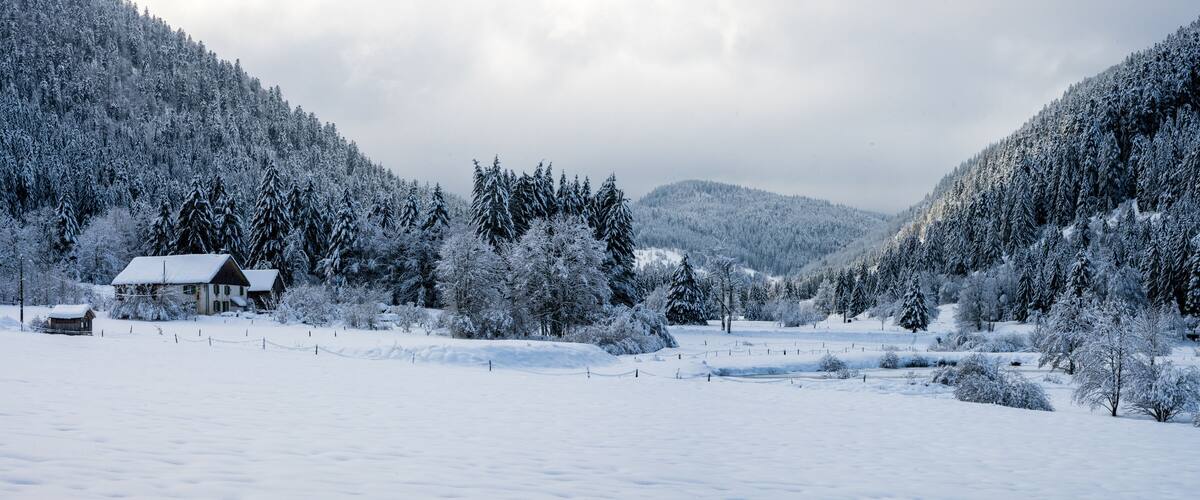 A snow-covered landscape with a house and trees.