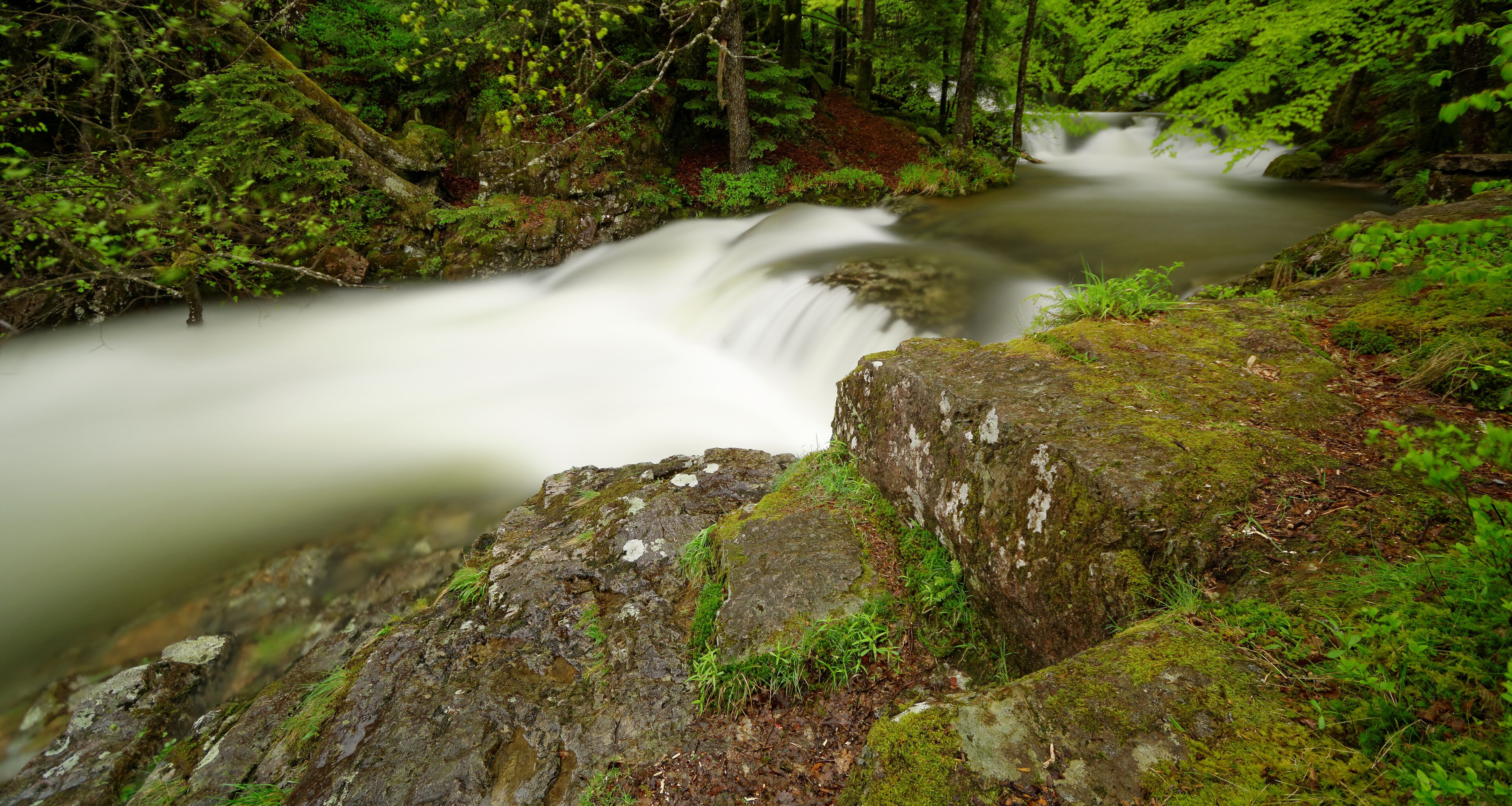 This image was uploaded as part of Wiki Loves Earth 2015.