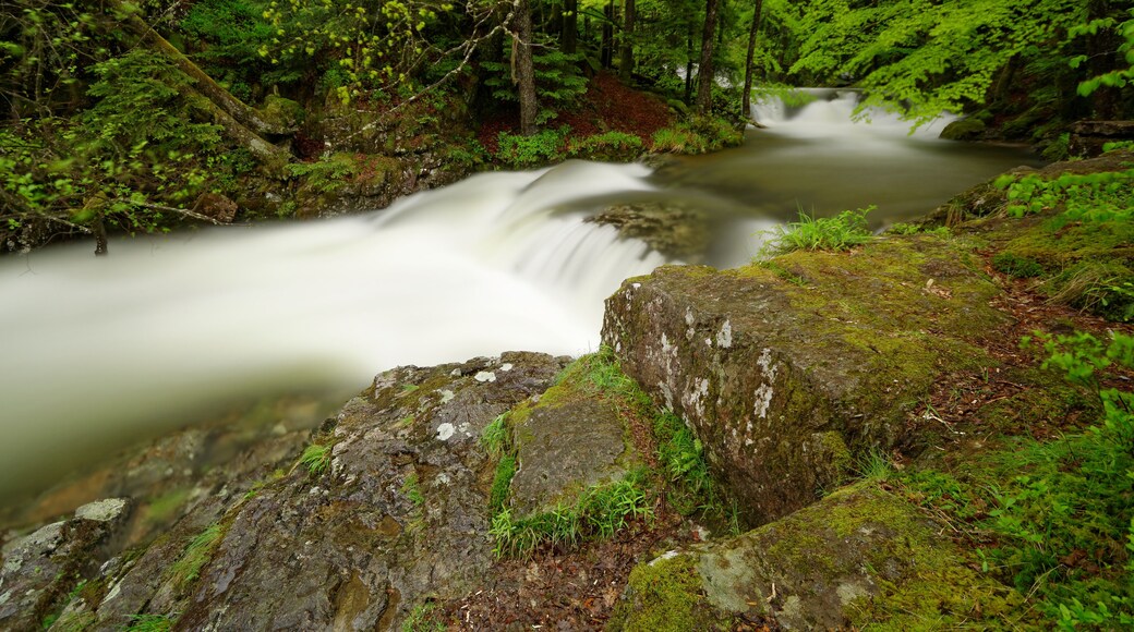 This image was uploaded as part of Wiki Loves Earth 2015.