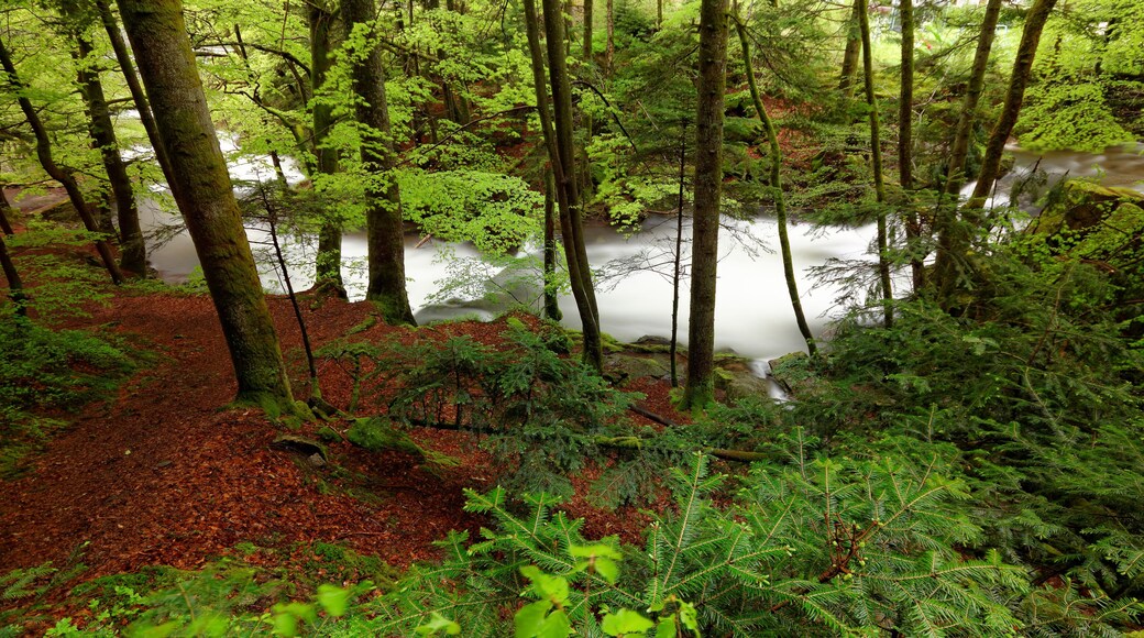 This image was uploaded as part of Wiki Loves Earth 2015.