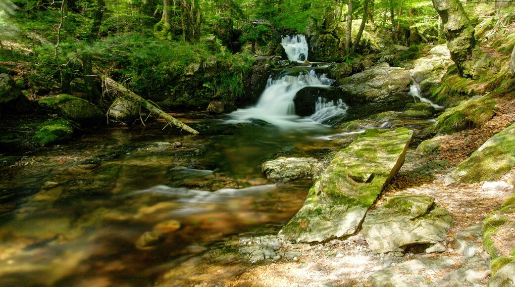 This file was uploaded with Commonist. La Savoureuse, à Lepuix. Photo réalisée avec un filtre ND1000 + un filtre polarisant Hoya PRO1.