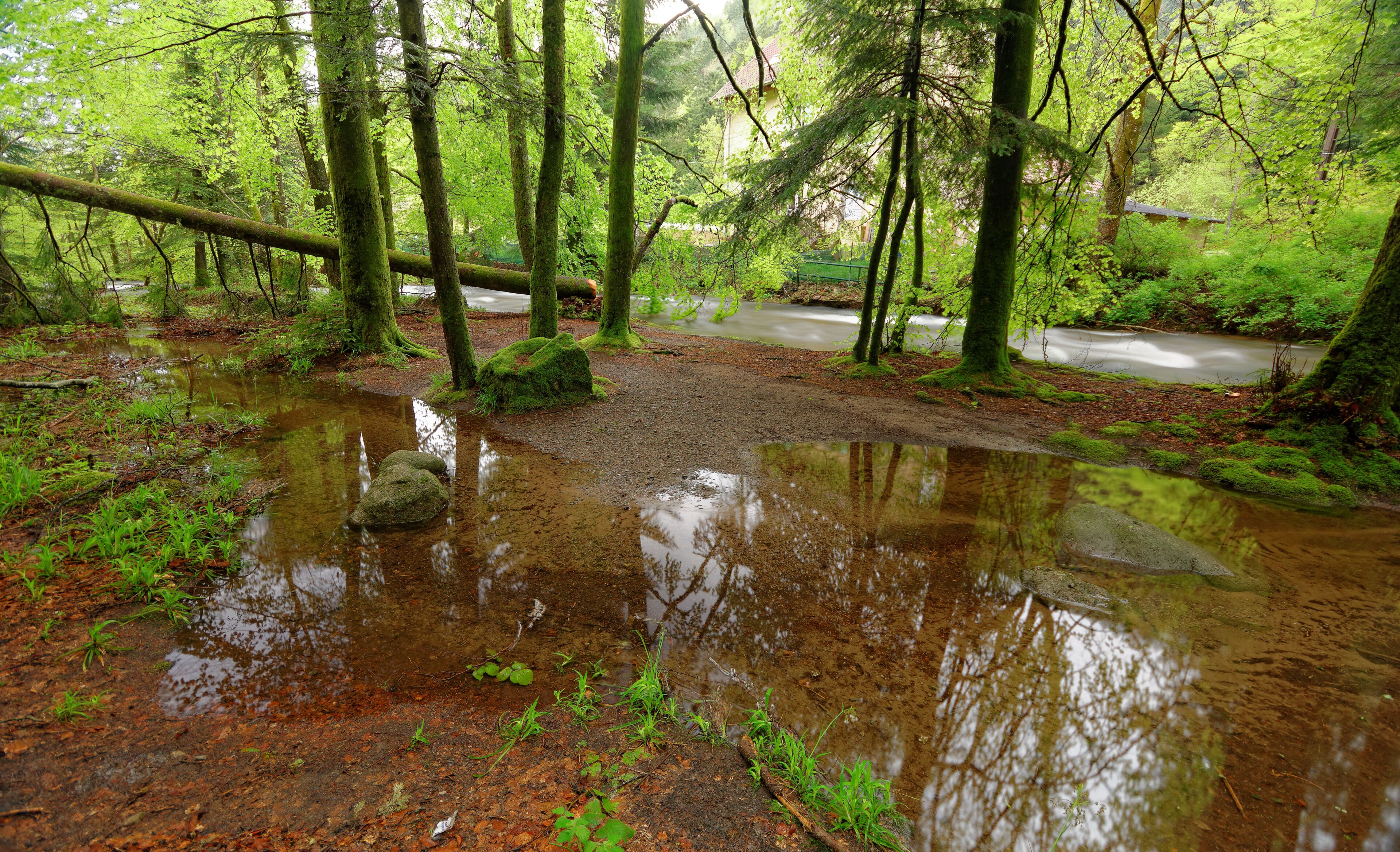 This image was uploaded as part of Wiki Loves Earth 2015.