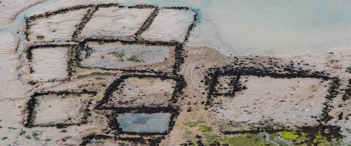 Vue aérienne de la rivière de Sarzeau près de Le Tour-du-Parc dans le Morbihan en France