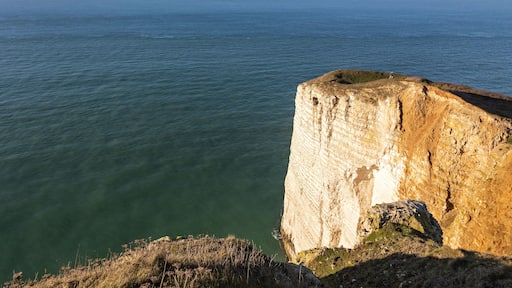 Normandy cliffs near Etretat, great winter light