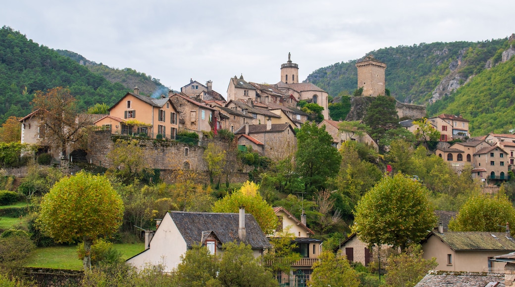 Le Rozier