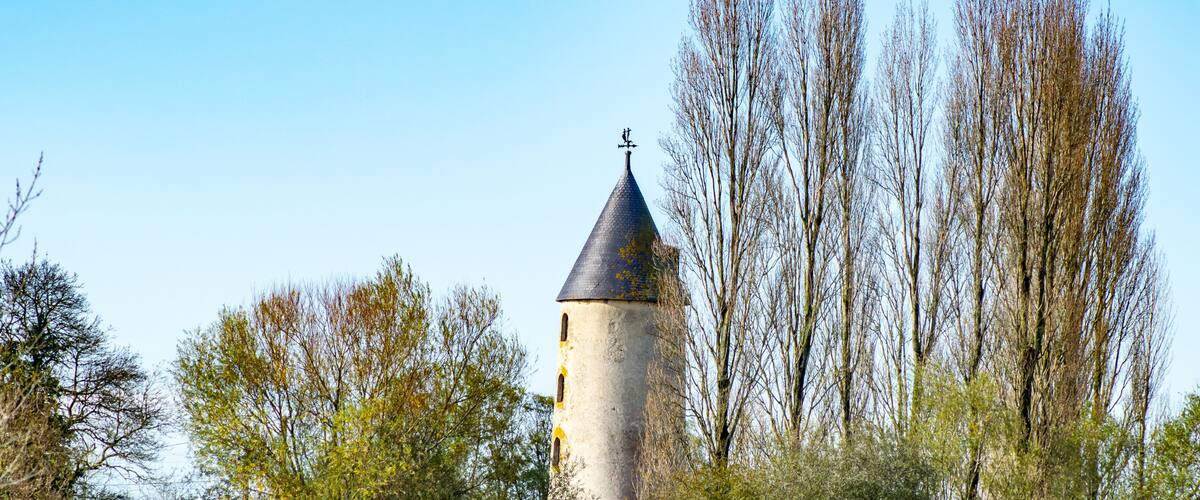 A tower surrounded by trees and grass.