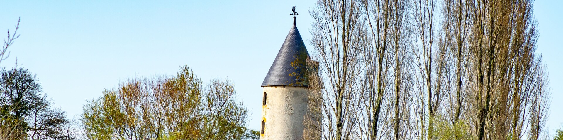 A tower surrounded by trees and grass.