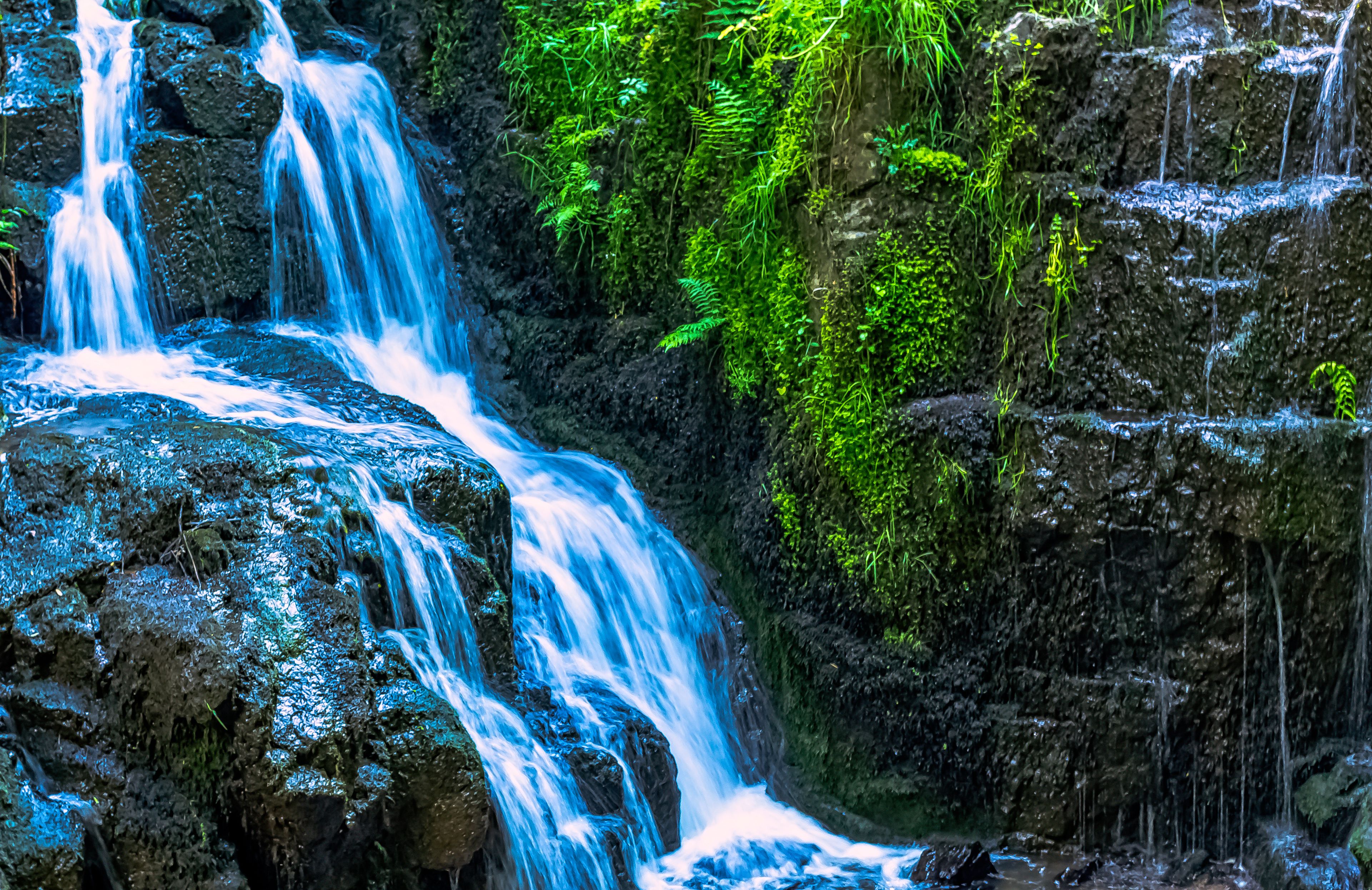 A waterfall cascading over rocks surrounded by lush green vegetation.