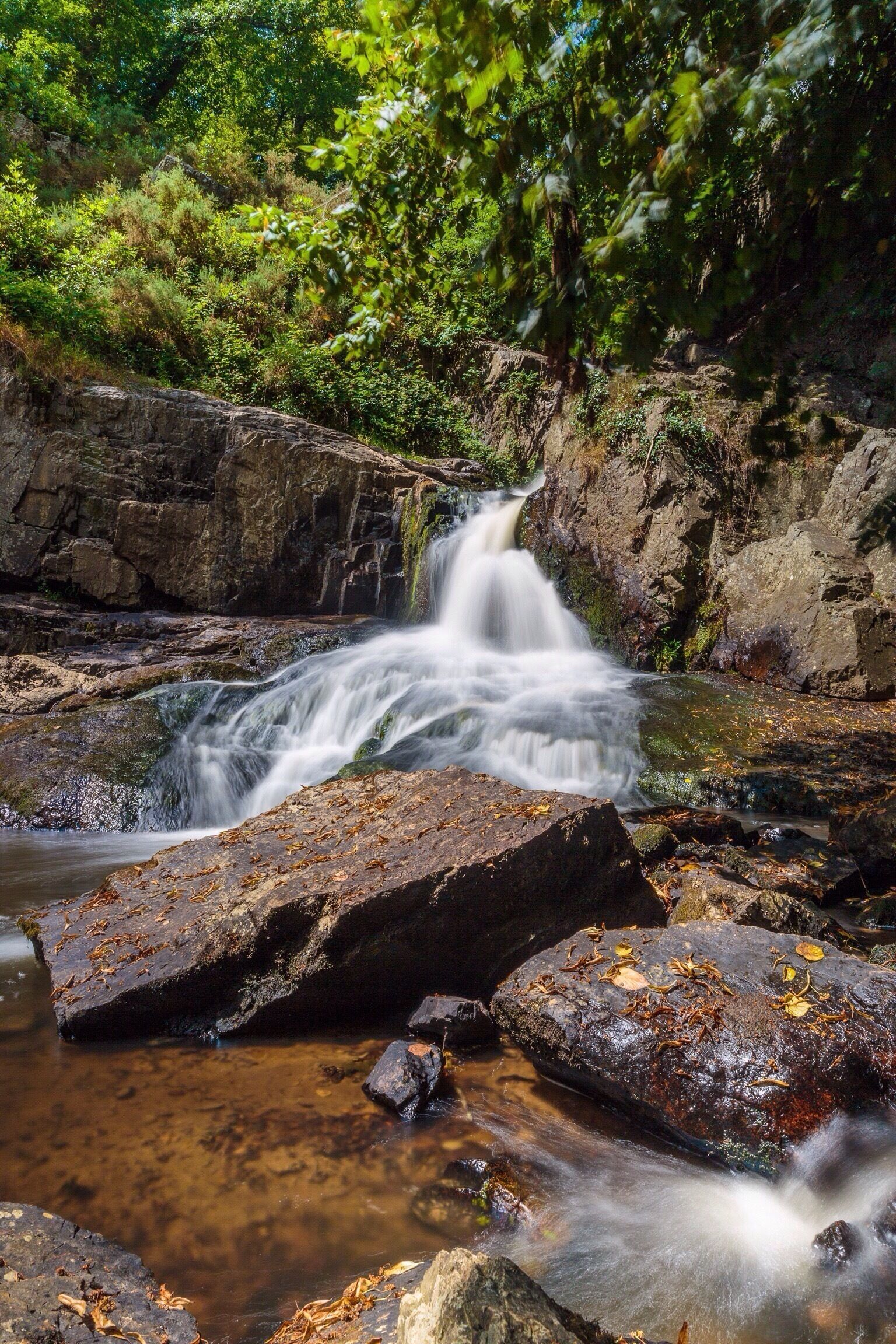 A waterfall cascading over rocks in a forested area.