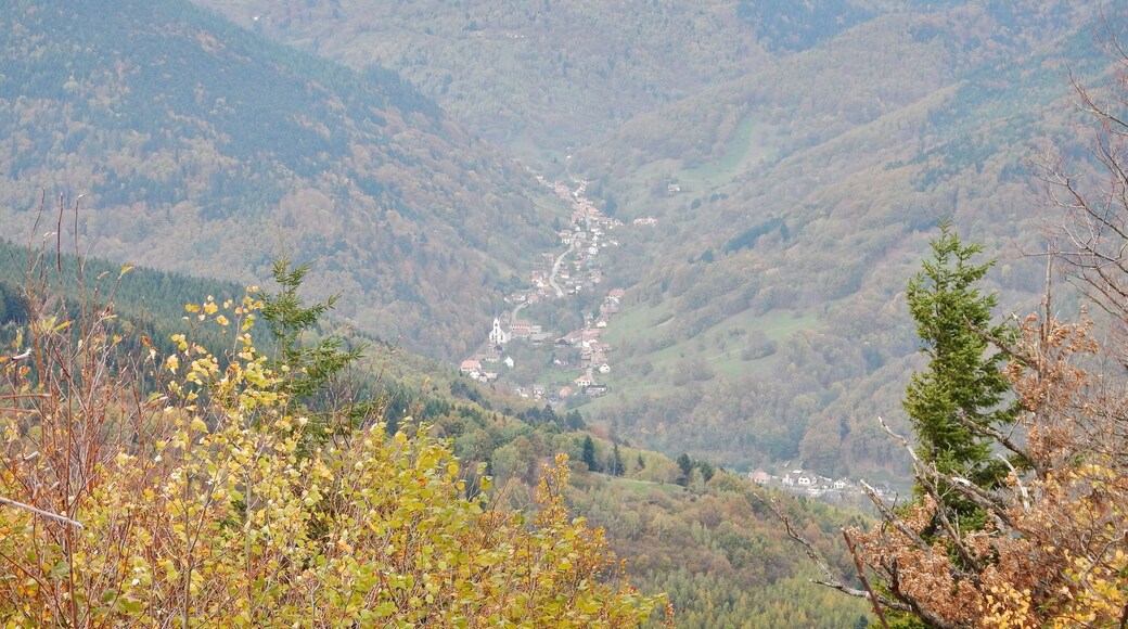 View to Linthal from Ruine de Hohrupf