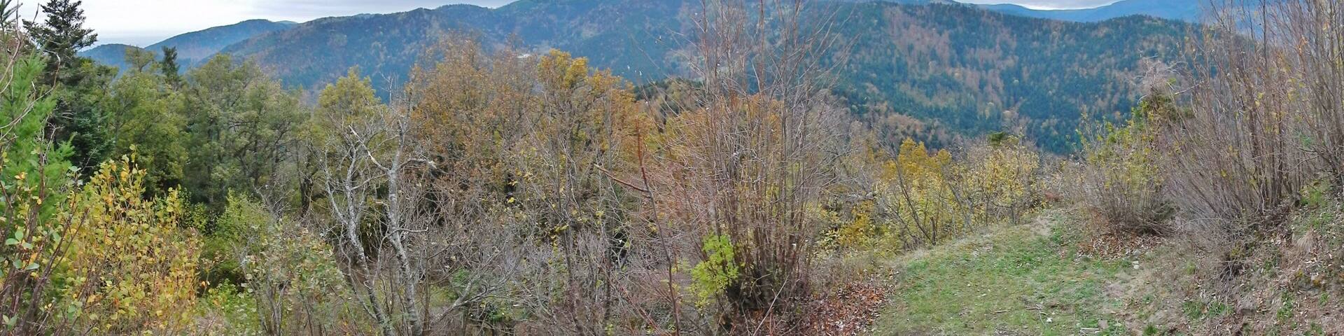 View from Ruine de Hohrupf