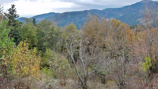 View from Ruine de Hohrupf