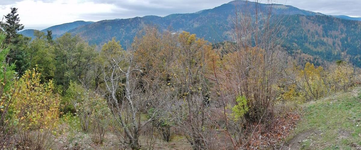 A mountainous landscape with autumn foliage and a clear sky.