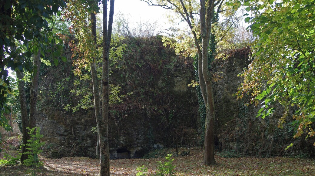 Larçay (Indre-et-Loire). Cave creusée dans le fortin au XIXe siècle. Le Castellum de Larçay. Il s'agit d'une fortification militaire gallo-romaine du IIIe siècle, c'est à dire du Bas-Empire. Le Castellum domine la vallée du Cher et le grand axe de communications de Bourges à Tours*. Le Castellum est le fortin gallo-romain le mieux conservé de la région et sans doute du Nord de la Gaule. Les murs dont on voit encore les pierres de petit appareil* liées par du mortier, peuvent expliquer en partie cette conservation. Beaucoup d'édifices anciens ont été détruits non seulement par le temps, mais aussi par les populations qui utilisaient ces édifices comme carrières de pierres prètes à l'emploi. Le petit appareil ne pouvant livrer que des moellons de piètre qualité après de gros efforts pour les libérer du mortier, a pu dissuader la récupération donc la destruction de l'édifice. Les 21 monnaies récoltées à l'intérieur du fortin s'échelonnent entre 120 et 320 après J.C... Un bâtiment découvert au nord-est du castellum et plusieurs fosses et sépultures à l'intérieur, attestent d'une réutilisation du site de la période mérovingienne jusqu'au XVe siècle. Le Castellum est un quadrilatère d'environ 80 m sur 70 m. Il est possible qu'il n'y eut jamais de muraille du côté nord, côté vallée. A proximité, au sud-est du Castellum, se trouvait une grande villa* romaine dont les vestiges ont totalement disparus lors de la construction d'un lotissement dans les années 1970. L'examen de fragments de céramiques récupérés en 1975 confirme une occupation au IIe siècle. Des éléments d'édifices antérieurs, des tronçons de colonnes par exemple, ont été utilisé à certains endroits dans les fondements du castellum, celui-ci est donc bien postérieur à la villa. Route de Bourges (Avaricum), capitale des Bituriges, à Tours (Caesarodunum), capitale des Turones, par deux stations intermédiaires (Mansiones), Gièvres/Chabris (Gabris) et Thésée/Pouillé(Tasciaca). "petit appareil", maçonnerie utilisant de petites pierres (8 à 16 cm.) La villa rustica était avec l'ensemble des bâtiments destinée à l'exploitation d'un domaine agricole. www.ville-larcay.fr/larcay/tourisme/le-castellum fr.wikipedia.org/wiki/Castellum_de_Lar%C3%A7ay