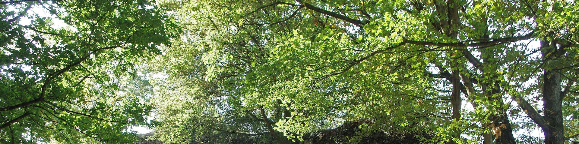 Larçay (Indre-et-Loire). L'enceinte est du castellum. Le Castellum de Larçay. Il s'agit d'une fortification militaire gallo-romaine du IIIe siècle, c'est à dire du Bas-Empire. Le Castellum domine la vallée du Cher et le grand axe de communications de Bourges à Tours*. Le Castellum est le fortin gallo-romain le mieux conservé de la région et sans doute du Nord de la Gaule. Les murs dont on voit encore les pierres de petit appareil* liées par du mortier, peuvent expliquer en partie cette conservation. Beaucoup d'édifices anciens ont été détruits non seulement par le temps, mais aussi par les populations qui utilisaient ces édifices comme carrières de pierres prètes à l'emploi. Le petit appareil ne pouvant livrer que des moellons de piètre qualité après de gros efforts pour les libérer du mortier, a pu dissuader la récupération donc la destruction de l'édifice. Les 21 monnaies récoltées à l'intérieur du fortin s'échelonnent entre 120 et 320 après J.C... Un bâtiment découvert au nord-est du castellum et plusieurs fosses et sépultures à l'intérieur, attestent d'une réutilisation du site de la période mérovingienne jusqu'au XVe siècle. Le Castellum est un quadrilatère d'environ 80 m sur 70 m. Il est possible qu'il n'y eut jamais de muraille du côté nord, côté vallée. A proximité, au sud-est du Castellum, se trouvait une grande villa* romaine dont les vestiges ont totalement disparus lors de la construction d'un lotissement dans les années 1970. L'examen de fragments de céramiques récupérés en 1975 confirme une occupation au IIe siècle. Des éléments d'édifices antérieurs, des tronçons de colonnes par exemple, ont été utilisé à certains endroits dans les fondements du castellum, celui-ci est donc bien postérieur à la villa. Route de Bourges (Avaricum), capitale des Bituriges, à Tours (Caesarodunum), capitale des Turones, par deux stations intermédiaires (Mansiones), Gièvres/Chabris (Gabris) et Thésée/Pouillé(Tasciaca). "petit appareil", maçonnerie utilisant de petites pierres (8 à 16 cm.) La villa rustica était avec l'ensemble des bâtiments destinée à l'exploitation d'un domaine agricole. www.ville-larcay.fr/larcay/tourisme/le-castellum fr.wikipedia.org/wiki/Castellum_de_Lar%C3%A7ay