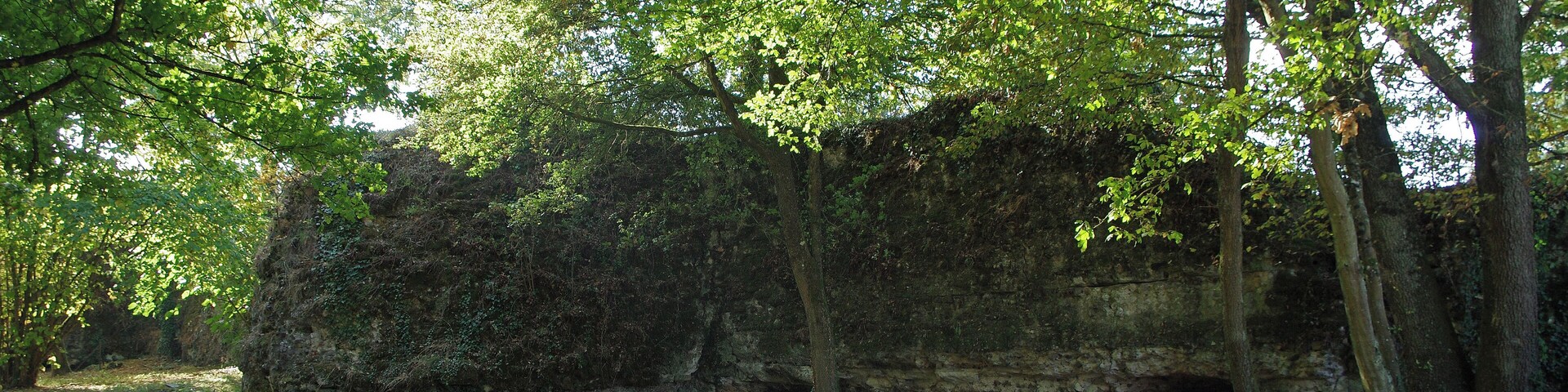 Larçay (Indre-et-Loire). L'enceinte est du castellum. Le Castellum de Larçay. Il s'agit d'une fortification militaire gallo-romaine du IIIe siècle, c'est à dire du Bas-Empire. Le Castellum domine la vallée du Cher et le grand axe de communications de Bourges à Tours*. Le Castellum est le fortin gallo-romain le mieux conservé de la région et sans doute du Nord de la Gaule. Les murs dont on voit encore les pierres de petit appareil* liées par du mortier, peuvent expliquer en partie cette conservation. Beaucoup d'édifices anciens ont été détruits non seulement par le temps, mais aussi par les populations qui utilisaient ces édifices comme carrières de pierres prètes à l'emploi. Le petit appareil ne pouvant livrer que des moellons de piètre qualité après de gros efforts pour les libérer du mortier, a pu dissuader la récupération donc la destruction de l'édifice. Les 21 monnaies récoltées à l'intérieur du fortin s'échelonnent entre 120 et 320 après J.C... Un bâtiment découvert au nord-est du castellum et plusieurs fosses et sépultures à l'intérieur, attestent d'une réutilisation du site de la période mérovingienne jusqu'au XVe siècle. Le Castellum est un quadrilatère d'environ 80 m sur 70 m. Il est possible qu'il n'y eut jamais de muraille du côté nord, côté vallée. A proximité, au sud-est du Castellum, se trouvait une grande villa* romaine dont les vestiges ont totalement disparus lors de la construction d'un lotissement dans les années 1970. L'examen de fragments de céramiques récupérés en 1975 confirme une occupation au IIe siècle. Des éléments d'édifices antérieurs, des tronçons de colonnes par exemple, ont été utilisé à certains endroits dans les fondements du castellum, celui-ci est donc bien postérieur à la villa. Route de Bourges (Avaricum), capitale des Bituriges, à Tours (Caesarodunum), capitale des Turones, par deux stations intermédiaires (Mansiones), Gièvres/Chabris (Gabris) et Thésée/Pouillé(Tasciaca). "petit appareil", maçonnerie utilisant de petites pierres (8 à 16 cm.) La villa rustica était avec l'ensemble des bâtiments destinée à l'exploitation d'un domaine agricole. www.ville-larcay.fr/larcay/tourisme/le-castellum fr.wikipedia.org/wiki/Castellum_de_Lar%C3%A7ay