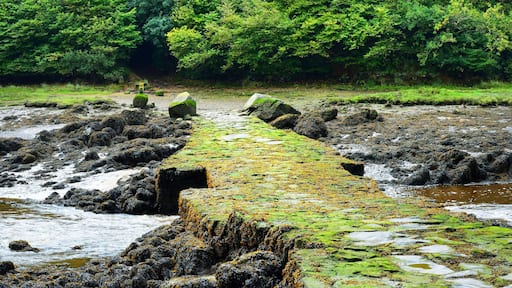 Devil's bridge (le pont Krac'h) during low tide in Plouguerneau, France
