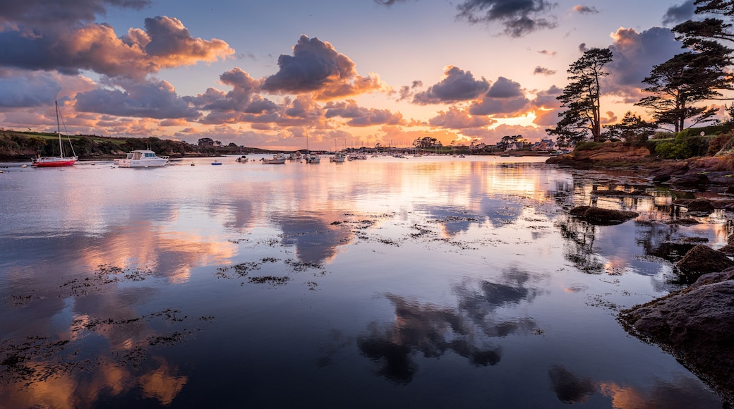 A calm lake with boats, a sailboat, and a forested shoreline at sunset.
