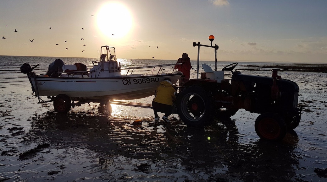 Early morning fishing in Normandy #LifeAtExpedia