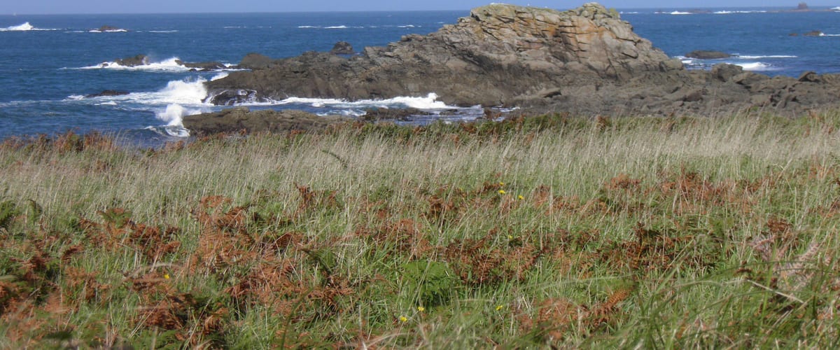 Océan depuis la dune de Saint Gonvel à Landunvez (Finistère, France).