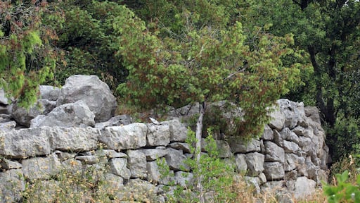An ancient mule track bordered by a dry stone wall.