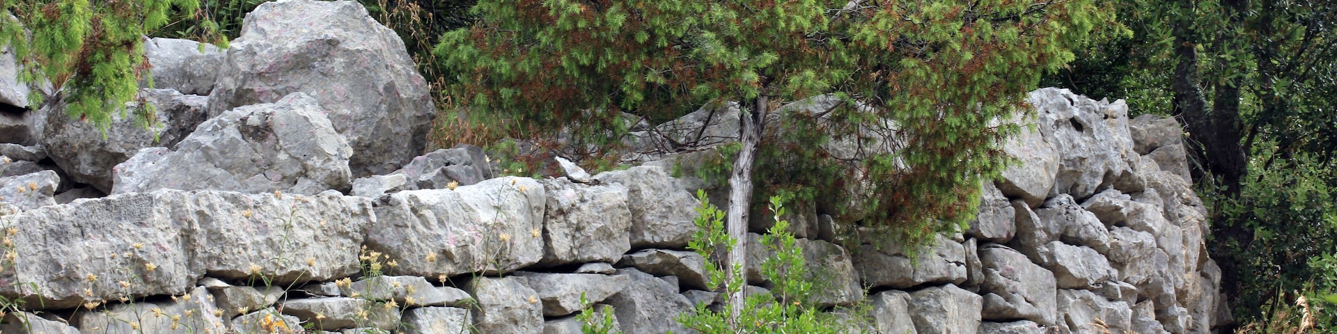 An ancient mule track bordered by a dry stone wall.