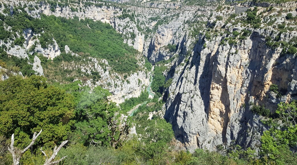 Verdon Natural Regional Park in France, the grandiose landscape and mysterious canyon Gorges du Verdon, mountain and forest
