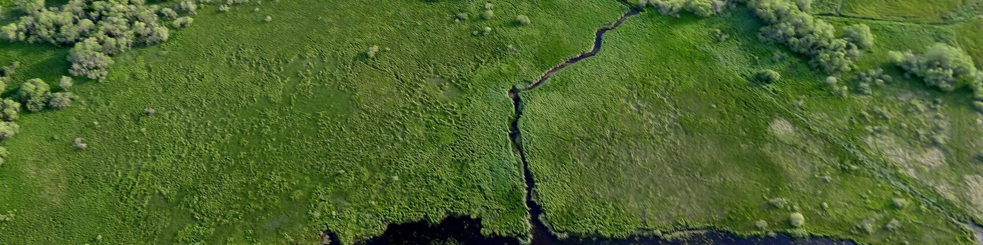 Lac d'en bas ...dans le Cezallier