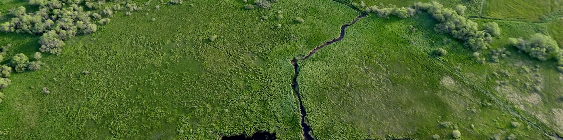Lac d'en bas ...dans le Cezallier