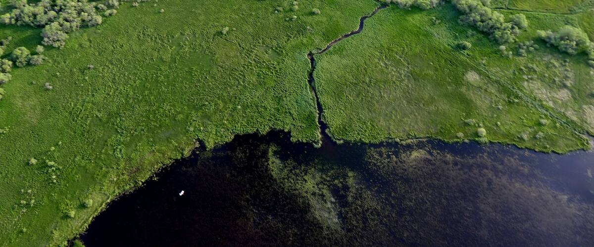 An aerial view of a river winding through a green landscape with patches of trees and open fields.