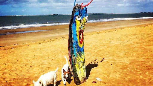 On a walk down the beach from La Faute sur Mer