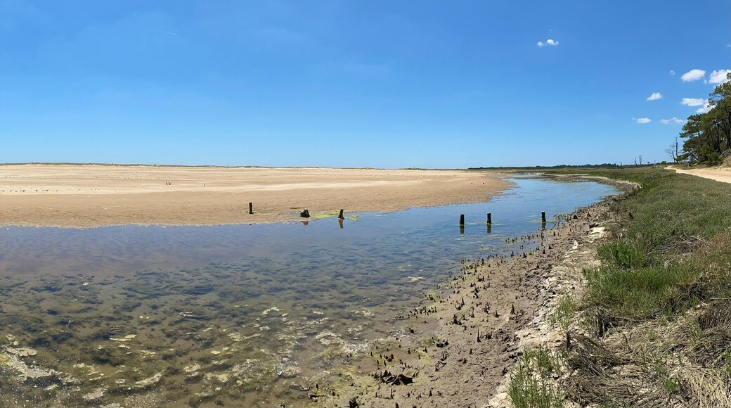 Paysage sauvage panoramique de la faute sur mer en Vendée