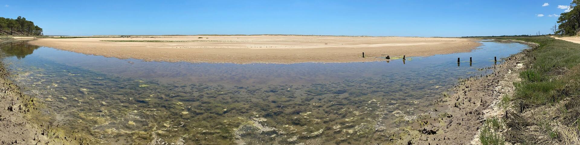 Paysage sauvage panoramique de la faute sur mer en Vendée
