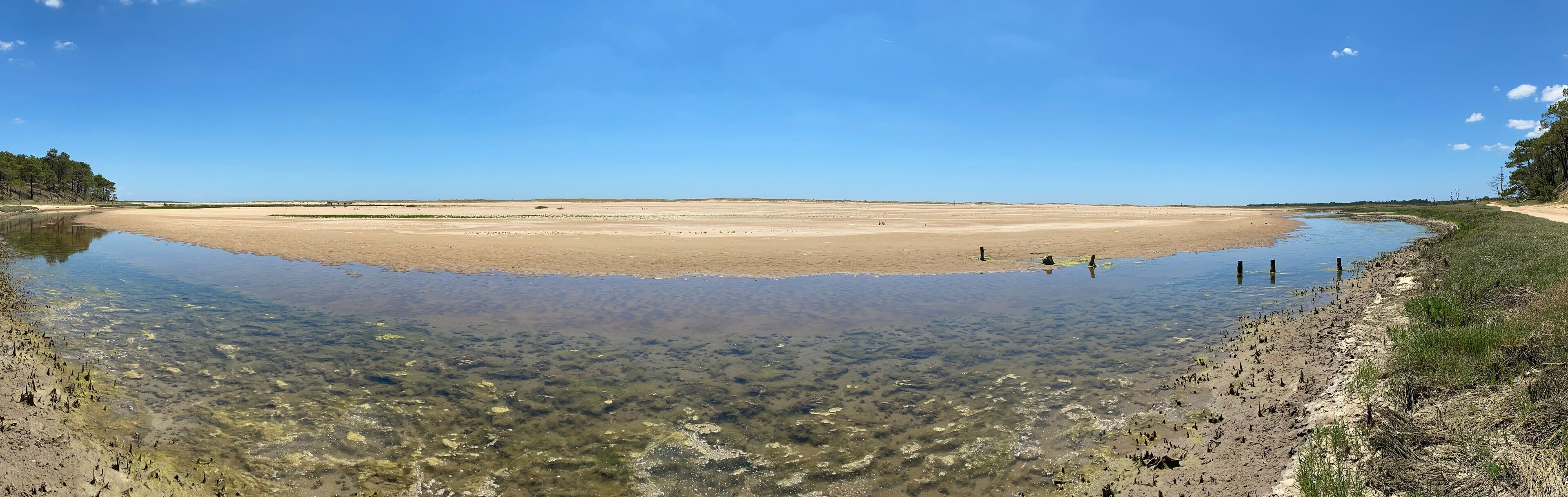A clear lake with a sandy shore and sparse vegetation.