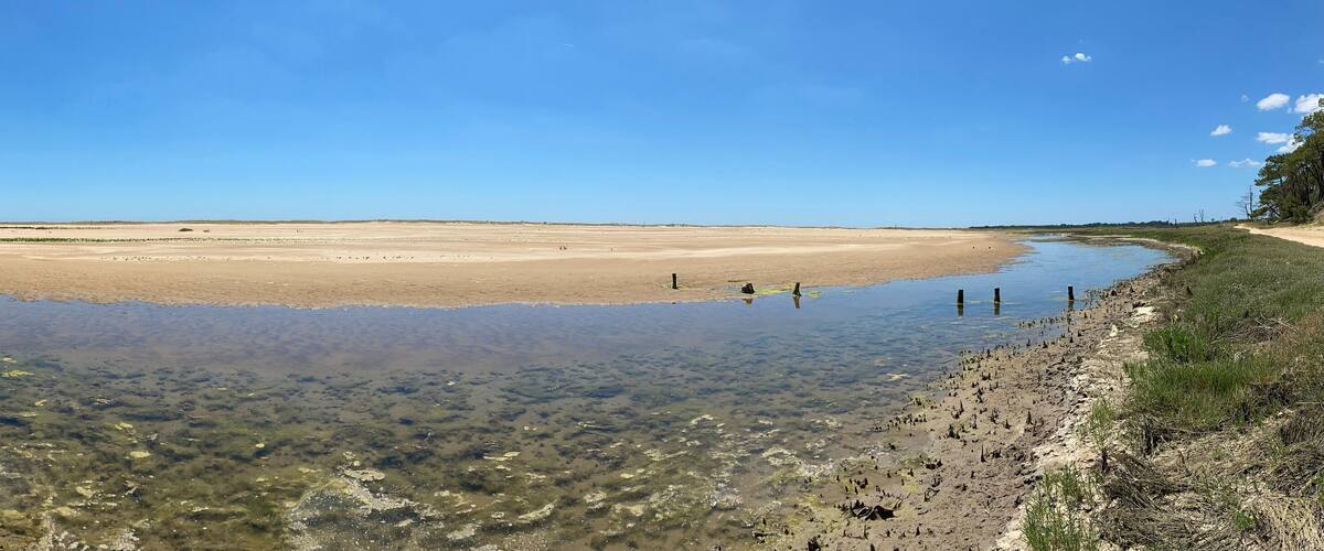 A clear lake with a sandy shore and sparse vegetation.