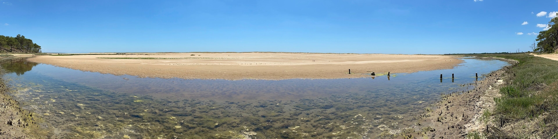 A clear lake with a sandy shore and sparse vegetation.